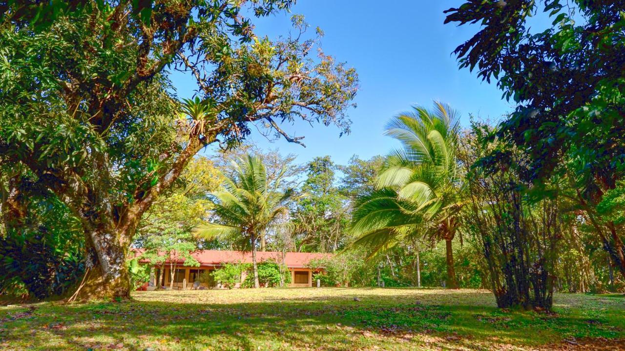 Monte Terras Bed & Breakfast Tronadora Dış mekan fotoğraf